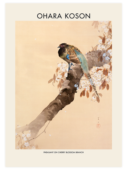 Ohara Koson Pheasant On A Cherry Blossom Branch Poster - Giclée Baskı