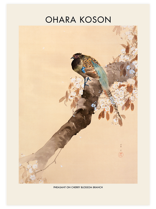 Ohara Koson Pheasant On A Cherry Blossom Branch - Fine Art Poster
