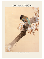 Ohara Koson Pheasant On A Cherry Blossom Branch - Fine Art Poster