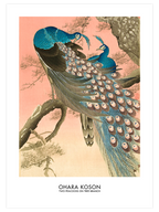 Ohara Koson Two Peacocks On Tree Branch - Art Print