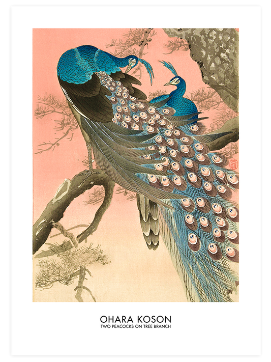 Ohara Koson Two Peacocks On Tree Branch Poster - Giclée Baskı