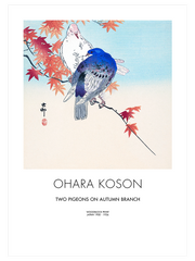 Ohara Koson Two Pigeons On Autumn Branch Poster - Giclée Baskı