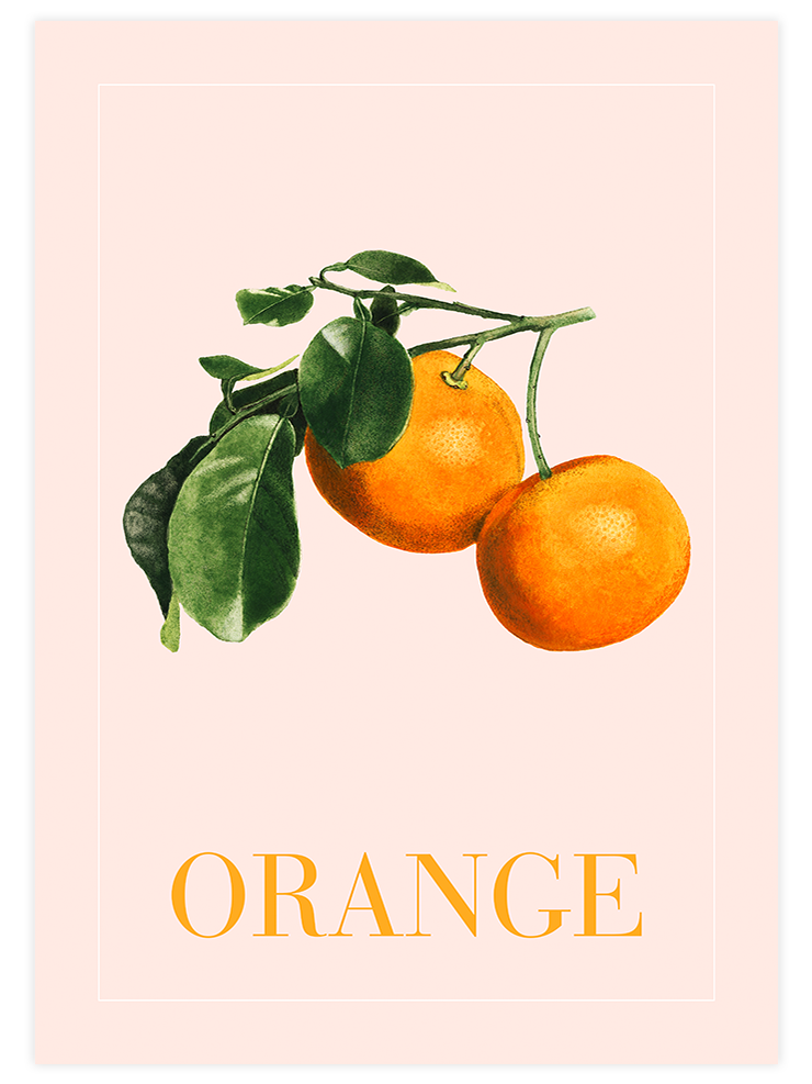 Orange - Art Print Mutfak Poster