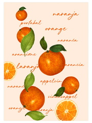 Citrus Power - Poster Seti Duo