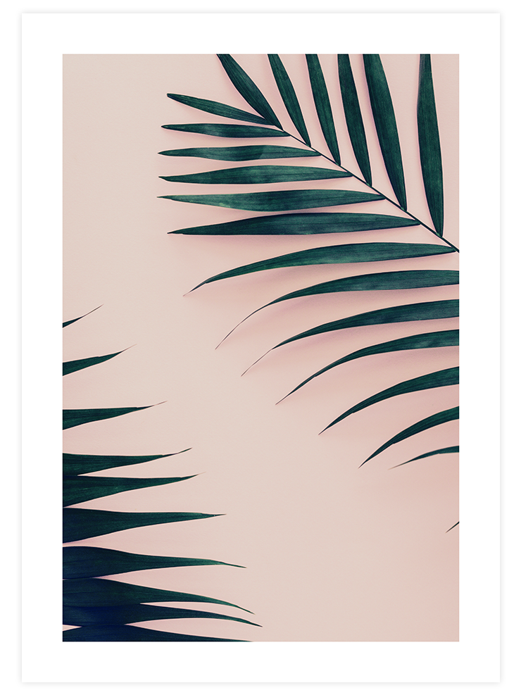 Palmiye N1 - Art Print Ürün ana görseli