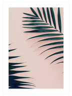 Palmiye N1 - Art Print