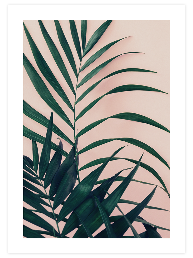 Palmiye N2 - Art Print Ürün ana görseli