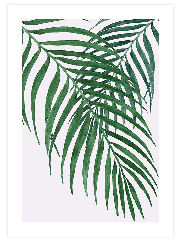 Palmiye Ağacı Yaprakları N1 - Art Print