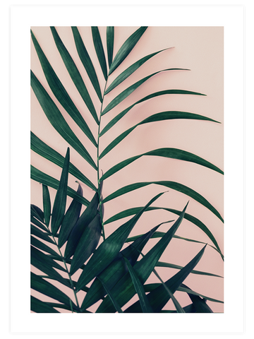 Palmiye N2 - Art Print