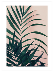 Palmiye N2 - Fine Art Poster