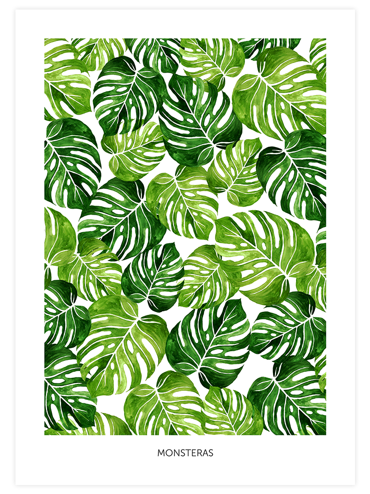 Palmiye Ağacı Yaprakları N2  - Art Print