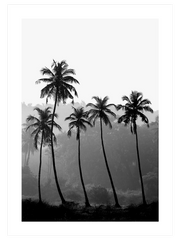 Palmiyeler - Fine Art Poster