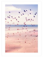 Pamuk Şeker - Art Print