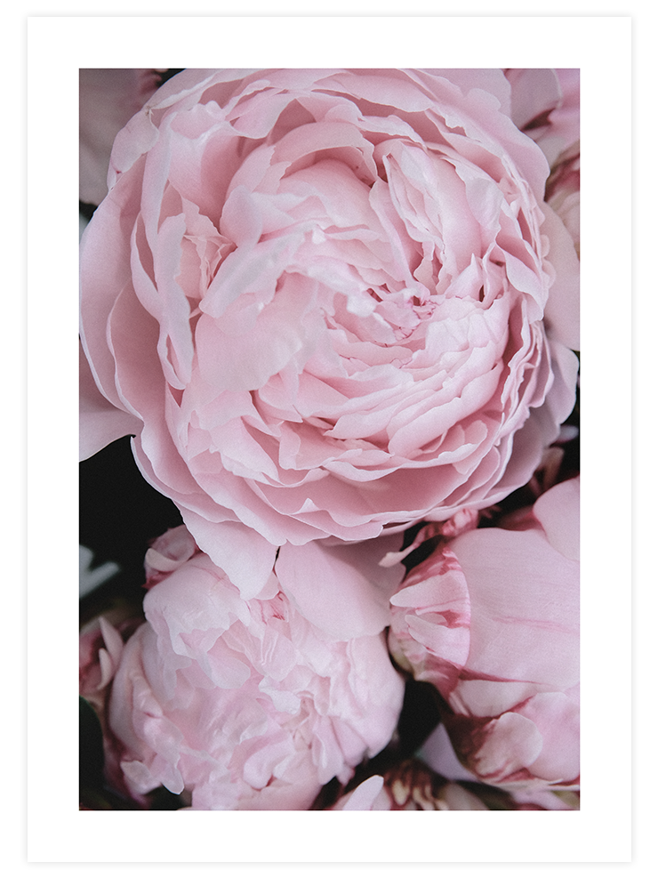 Parfum De Fleurs N1 - Art Print