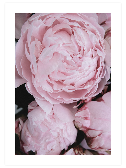 Parfum De Fleurs N1 - Art Print