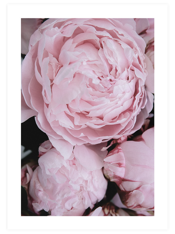Parfum De Fleurs N1 - Art Print