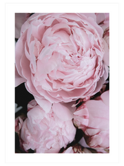 Parfum De Fleurs N1 - Fine Art Poster
