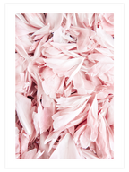 Pembe Çiçek Yaprakları - Art Print