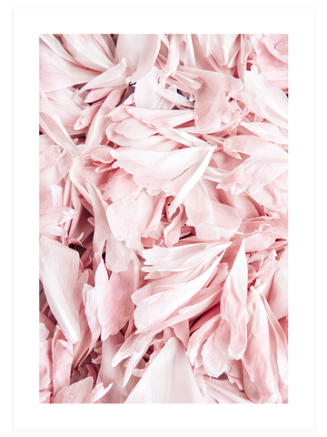 Pembe Çiçek Yaprakları - Art Print