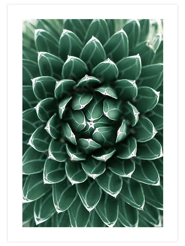 Perfeccion - Art Print Ürün ana görseli