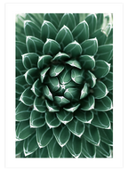 Perfeccion - Art Print