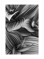 Perfection - Art Print