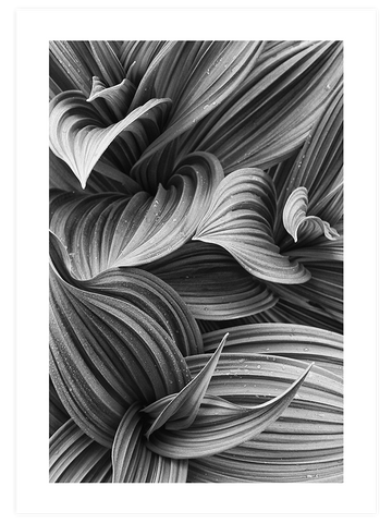 Perfection - Art Print