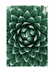 Perfeccion - Art Print
