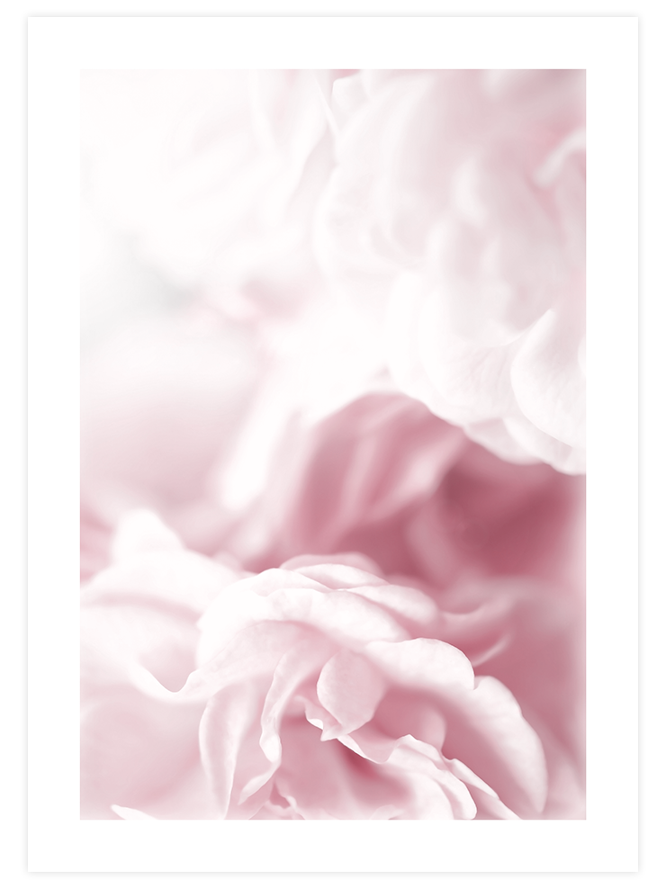 Pink Dream - Art Print Fotoğraflar Poster