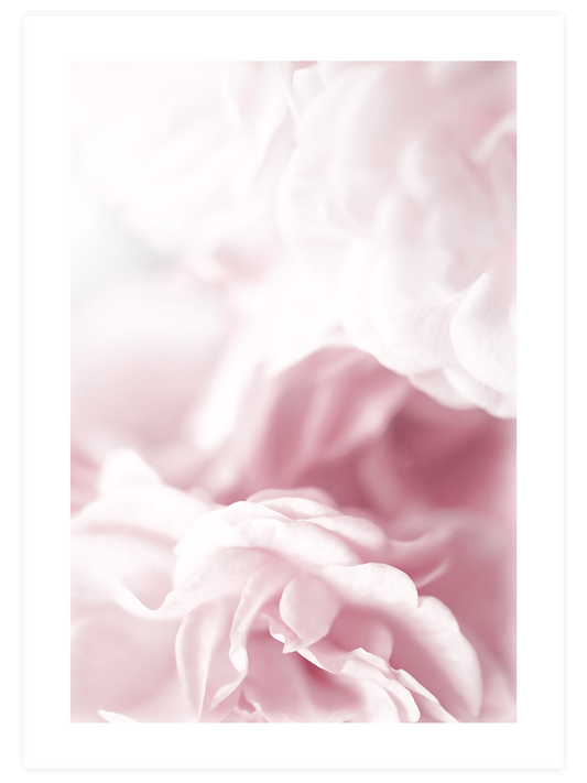 Pink Dream Poster - Giclée Baskı