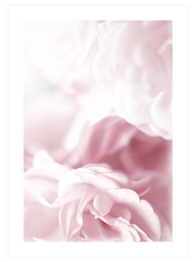 Pink Dream Poster - Giclée Baskı