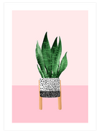 Puantiyeli Vazo N3 - Art Print