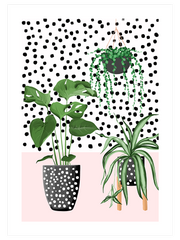 Puantiyeli Vazo N4 - Fine Art Poster