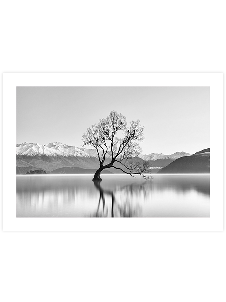 Purity - Art Print Ürün ana görseli