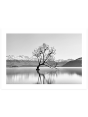 Purity - Fine Art Poster