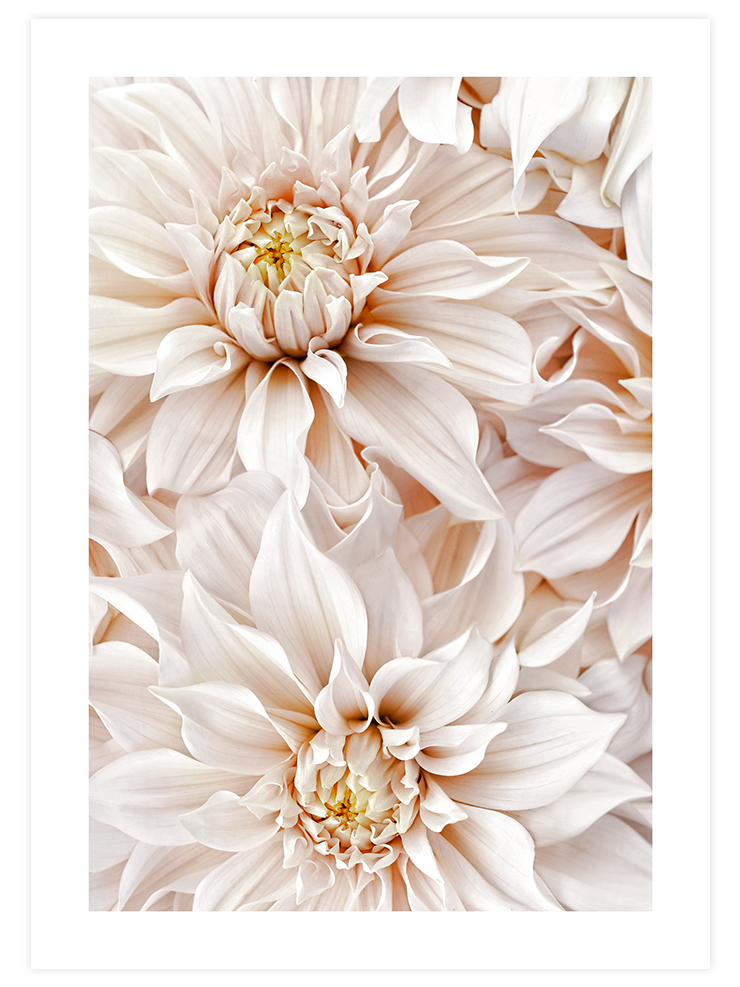 Quiet Moment - Art Print