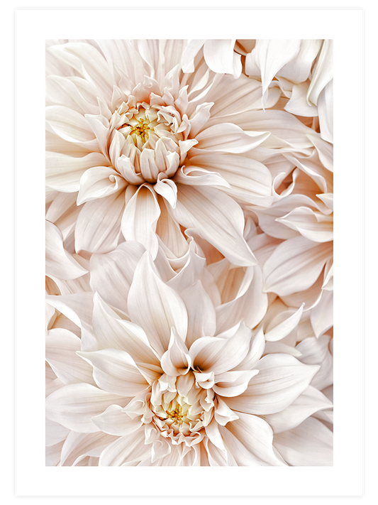 Quiet Moment - Art Print
