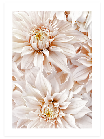 Quiet Moment - Art Print