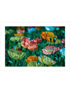 Rengarenk Çiçekler - Art Print