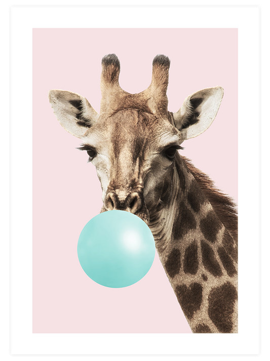 Sakız Şişiren Zürafa Poster - Giclée Baskı