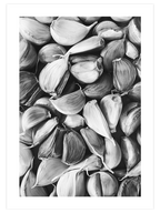 Sarımsak - Art Print