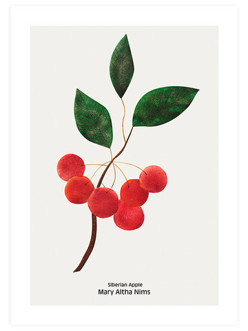 Sibirya Elması - Art Print