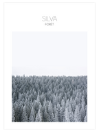 Silva - Art Print