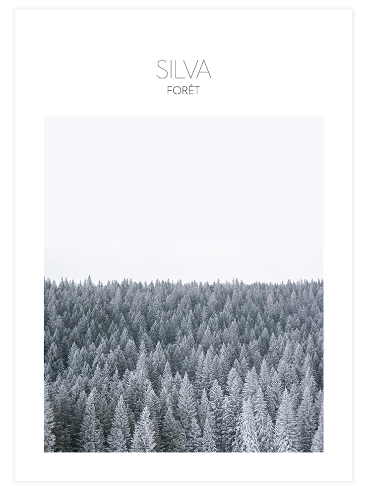 Silva - Art Print