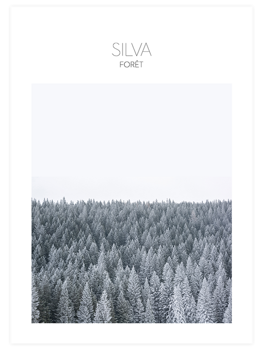 Silva Poster - Giclée Baskı