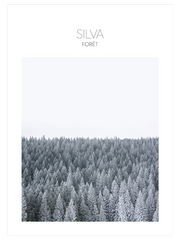 Silva - Fine Art Poster