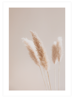 Silvestre N3 - Art Print