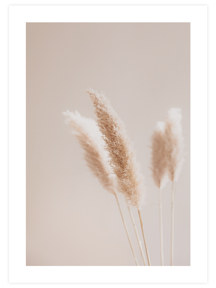 Silvestre N3 - Art Print