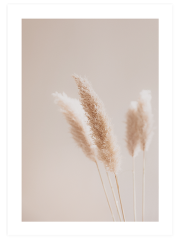 Silvestre N3 - Art Print