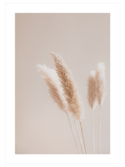 Silvestre N3 - Fine Art Poster